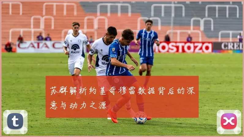 苏群解析约基奇穆雷数据背后的深意与动力之源