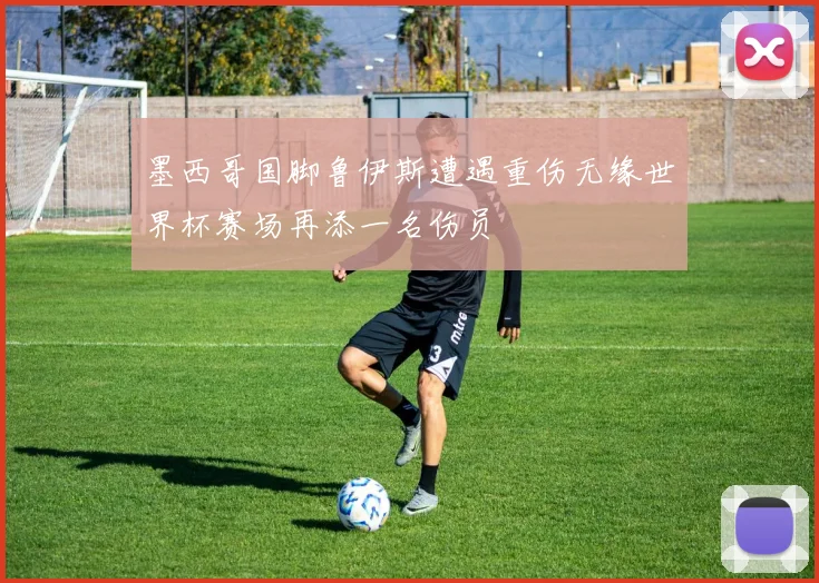 墨西哥国脚鲁伊斯遭遇重伤无缘世界杯赛场再添一名伤员